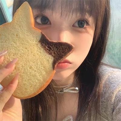妙探双龙